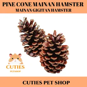 CUTIES PET SHOP Pine Cone Mainan Hamster Biji Pinus Mainan Gigit Hamster Bisa Diberikan Sebagai Mainan atau Bahan untuk Membuat Sarang Kecil 4-6 Cm