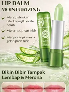 Paket 2 Pcs Lip Balm untuk Menutrisi Kulit Bibir Kering - Gloss, Lipstick